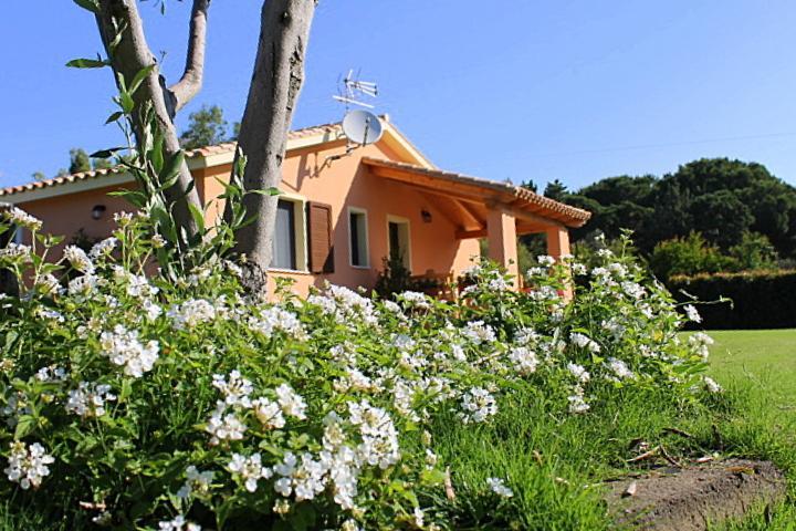 Il Melograno Di Nora Bed & Breakfast Пула Екстериор снимка