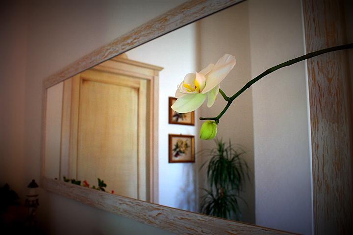 Il Melograno Di Nora Bed & Breakfast Пула Екстериор снимка